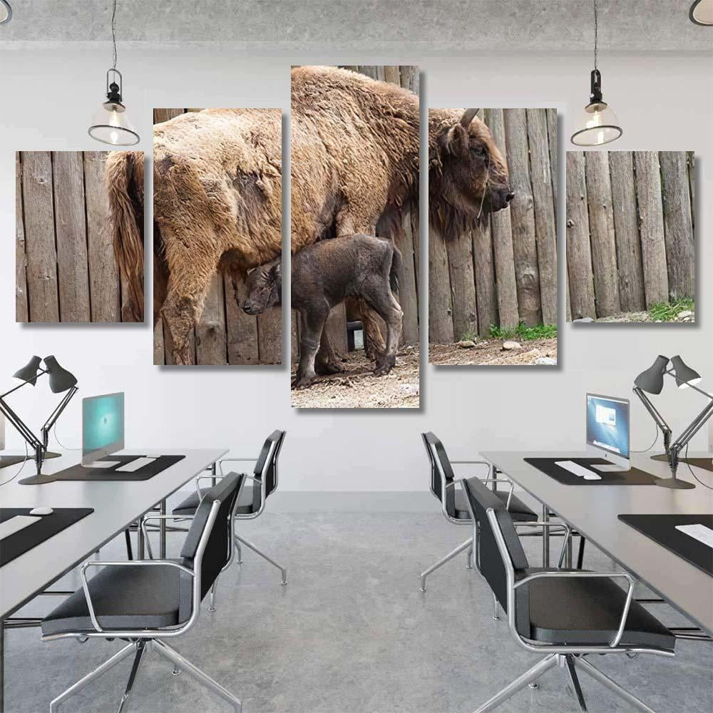 Wild Bison Cub Near Fence Spring Bison Animals Luxury Multi Canvas Prints, Multi Piece Panel Canvas Gallery Art Print Print