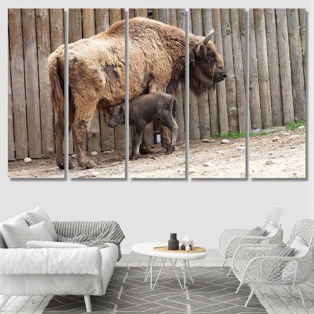 Wild Bison Cub Near Fence Spring Bison Animals Luxury Multi Canvas Prints, Multi Piece Panel Canvas Gallery Art Print Print