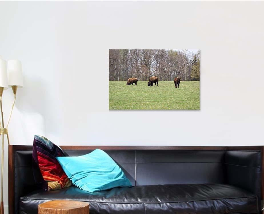 Small Herd American Buffalo Bison On Bison Animals Luxury Multi Canvas Prints, Multi Piece Panel Canvas Gallery Art Print Print