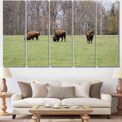 Small Herd American Buffalo Bison On Bison Animals Luxury Multi Canvas Prints, Multi Piece Panel Canvas Gallery Art Print Print