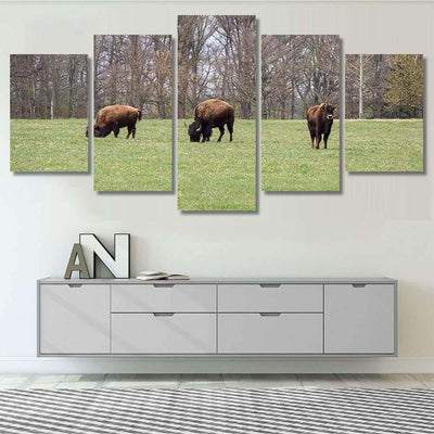 Small Herd American Buffalo Bison On Bison Animals Luxury Multi Canvas Prints, Multi Piece Panel Canvas Gallery Art Print Print