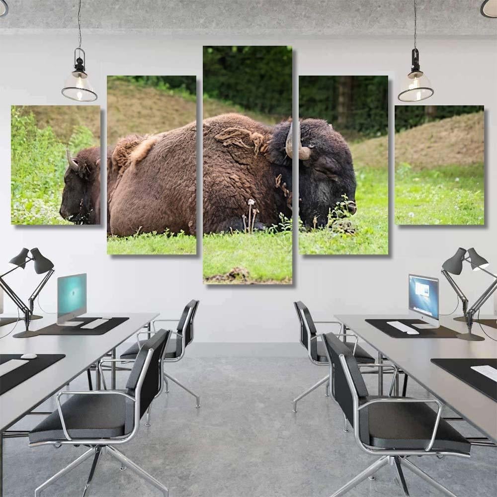 Large Beautiful Bison Sleep Nature Bison Animals Luxury Multi Canvas Prints, Multi Piece Panel Canvas Gallery Art Print Print