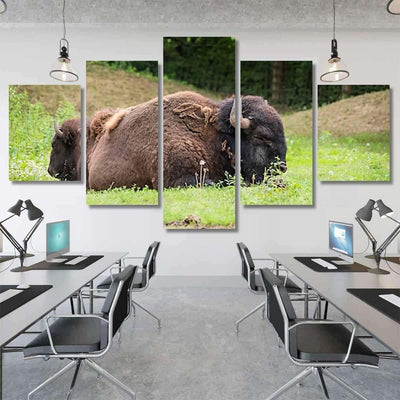 Large Beautiful Bison Sleep Nature Bison Animals Luxury Multi Canvas Prints, Multi Piece Panel Canvas Gallery Art Print Print
