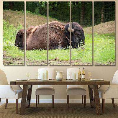 Large Beautiful Bison Sleep Nature Bison Animals Luxury Multi Canvas Prints, Multi Piece Panel Canvas Gallery Art Print Print