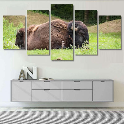 Large Beautiful Bison Sleep Nature Bison Animals Luxury Multi Canvas Prints, Multi Piece Panel Canvas Gallery Art Print Print