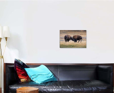 Bison American Standing Dry Grass Typical 2 Bison Animals Luxury Multi Canvas Prints, Multi Piece Panel Canvas Gallery Art Print Print