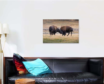 Bison American Standing Dry Grass Typical 2 Bison Animals Luxury Multi Canvas Prints, Multi Piece Panel Canvas Gallery Art Print Print