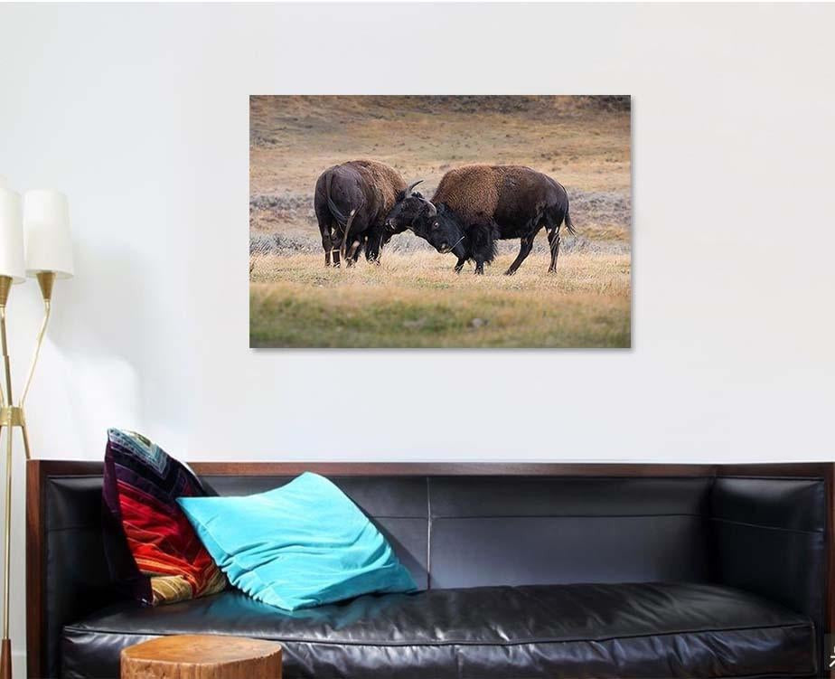 Bison American Standing Dry Grass Typical 2 Bison Animals Luxury Multi Canvas Prints, Multi Piece Panel Canvas Gallery Art Print Print