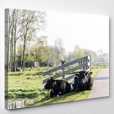 Few Black White Cows Chewing On Bison Animals Luxury Multi Canvas Prints, Multi Piece Panel Canvas Gallery Art Print Print