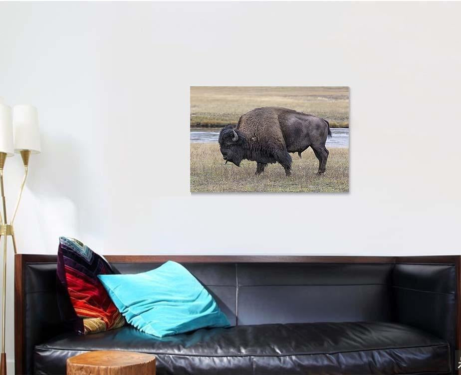 American Bison Scent Tasting Bison Animals Luxury Multi Canvas Prints, Multi Piece Panel Canvas Gallery Art Print Print