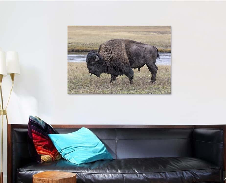 American Bison Scent Tasting Bison Animals Luxury Multi Canvas Prints, Multi Piece Panel Canvas Gallery Art Print Print