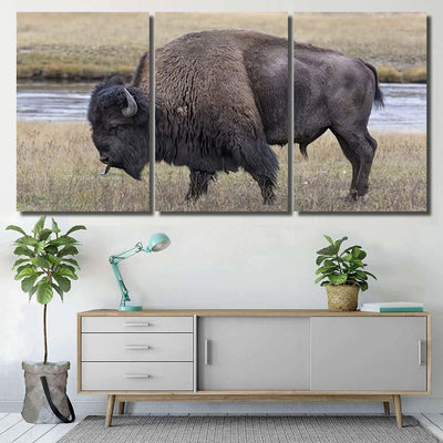 American Bison Scent Tasting Bison Animals Luxury Multi Canvas Prints, Multi Piece Panel Canvas Gallery Art Print Print