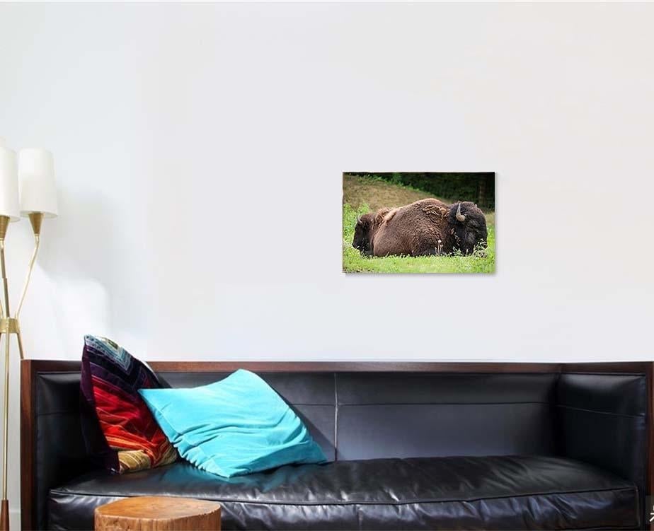 Two Bisons Sleep Nature Bison Animals Luxury Multi Canvas Prints, Multi Piece Panel Canvas Gallery Art Print Print