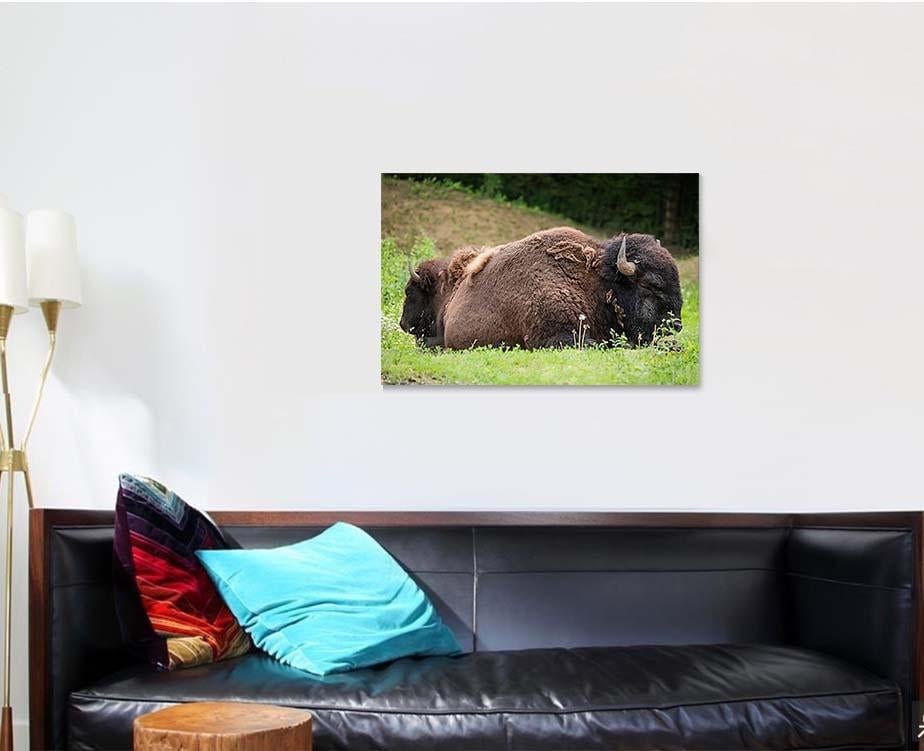 Two Bisons Sleep Nature Bison Animals Luxury Multi Canvas Prints, Multi Piece Panel Canvas Gallery Art Print Print