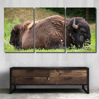 Two Bisons Sleep Nature Bison Animals Luxury Multi Canvas Prints, Multi Piece Panel Canvas Gallery Art Print Print