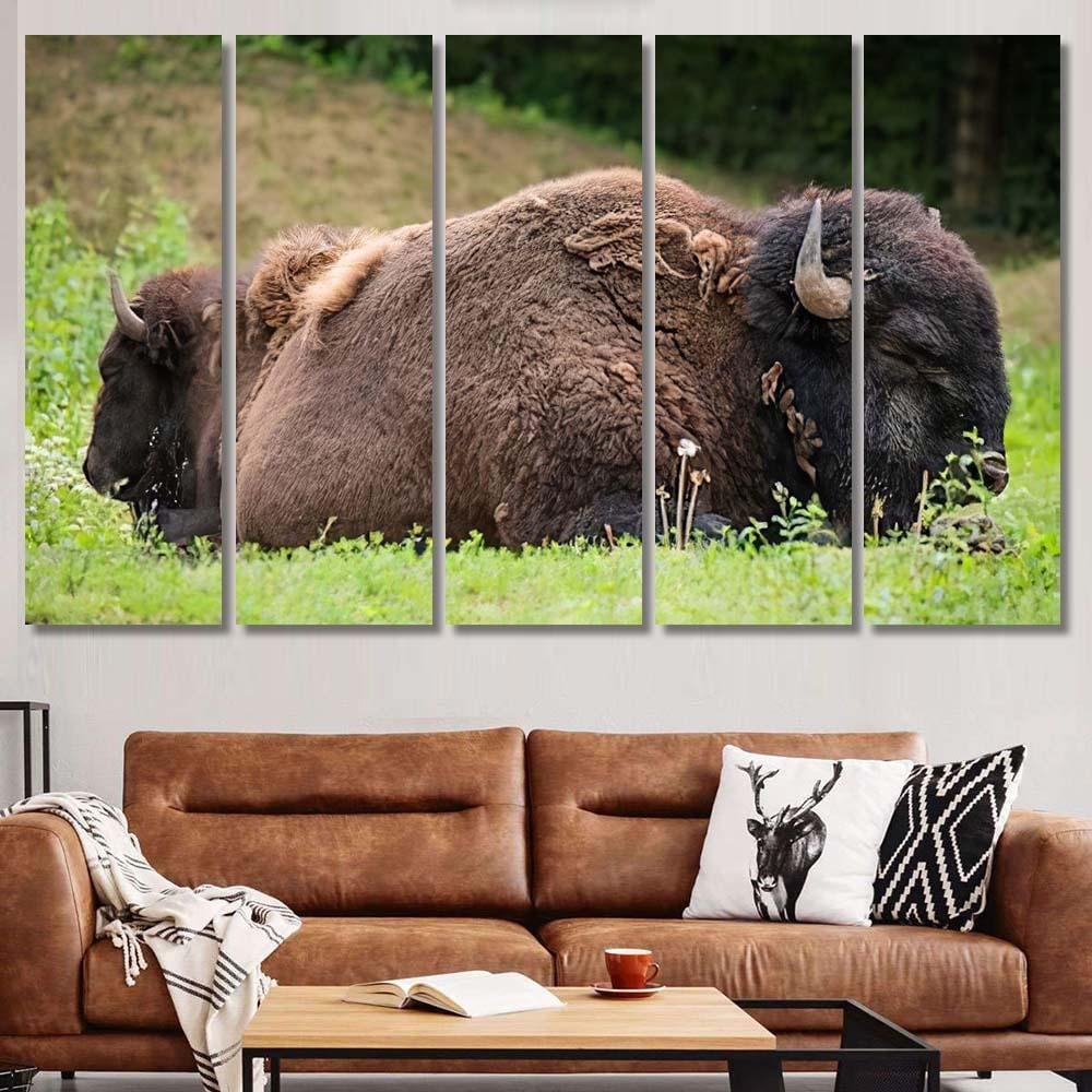 Two Bisons Sleep Nature Bison Animals Luxury Multi Canvas Prints, Multi Piece Panel Canvas Gallery Art Print Print