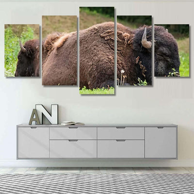 Two Bisons Sleep Nature Bison Animals Luxury Multi Canvas Prints, Multi Piece Panel Canvas Gallery Art Print Print
