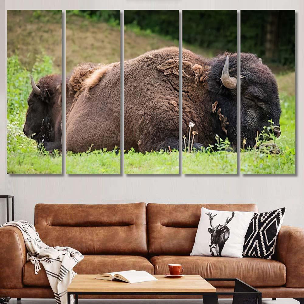 Two Bisons Sleep Nature Bison Animals Luxury Multi Canvas Prints, Multi Piece Panel Canvas Gallery Art Print Print