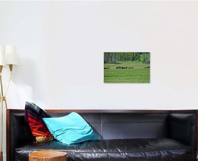 Bison 77 Bison Animals Luxury Multi Canvas Prints, Multi Piece Panel Canvas Gallery Art Print Print