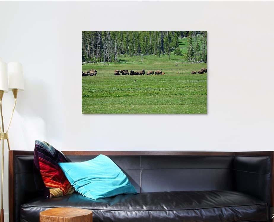 Bison 77 Bison Animals Luxury Multi Canvas Prints, Multi Piece Panel Canvas Gallery Art Print Print
