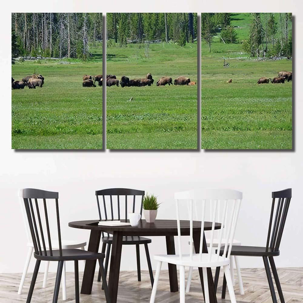 Bison 77 Bison Animals Luxury Multi Canvas Prints, Multi Piece Panel Canvas Gallery Art Print Print