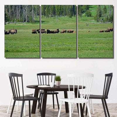 Bison 77 Bison Animals Luxury Multi Canvas Prints, Multi Piece Panel Canvas Gallery Art Print Print