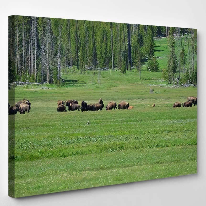 Bison 77 Bison Animals Luxury Multi Canvas Prints, Multi Piece Panel Canvas Gallery Art Print Print