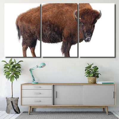Bison Stands Snow Isolated On White Bison Animals Luxury Multi Canvas Prints, Multi Piece Panel Canvas Gallery Art Print Print