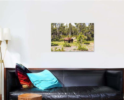 Bison Forest Landscape View Nature Background Bison Animals Luxury Multi Canvas Prints, Multi Piece Panel Canvas Gallery Art Print Print