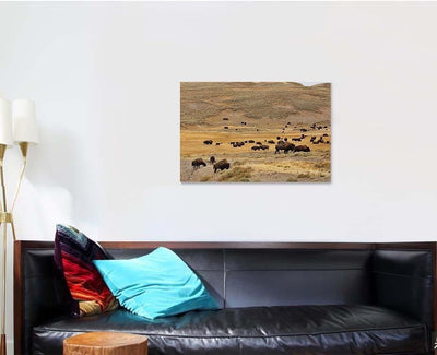 American Bison Simply Commonly Known Buffalo 1 Bison Animals Luxury Multi Canvas Prints, Multi Piece Panel Canvas Gallery Art Print Print