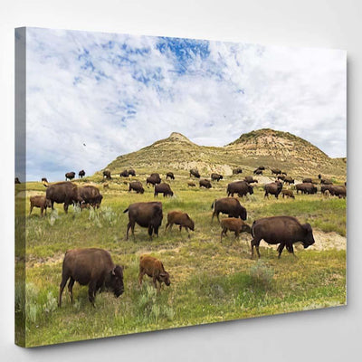 North Dakota Bison Herd Bison Animals Luxury Multi Canvas Prints, Multi Piece Panel Canvas Gallery Art Print Print