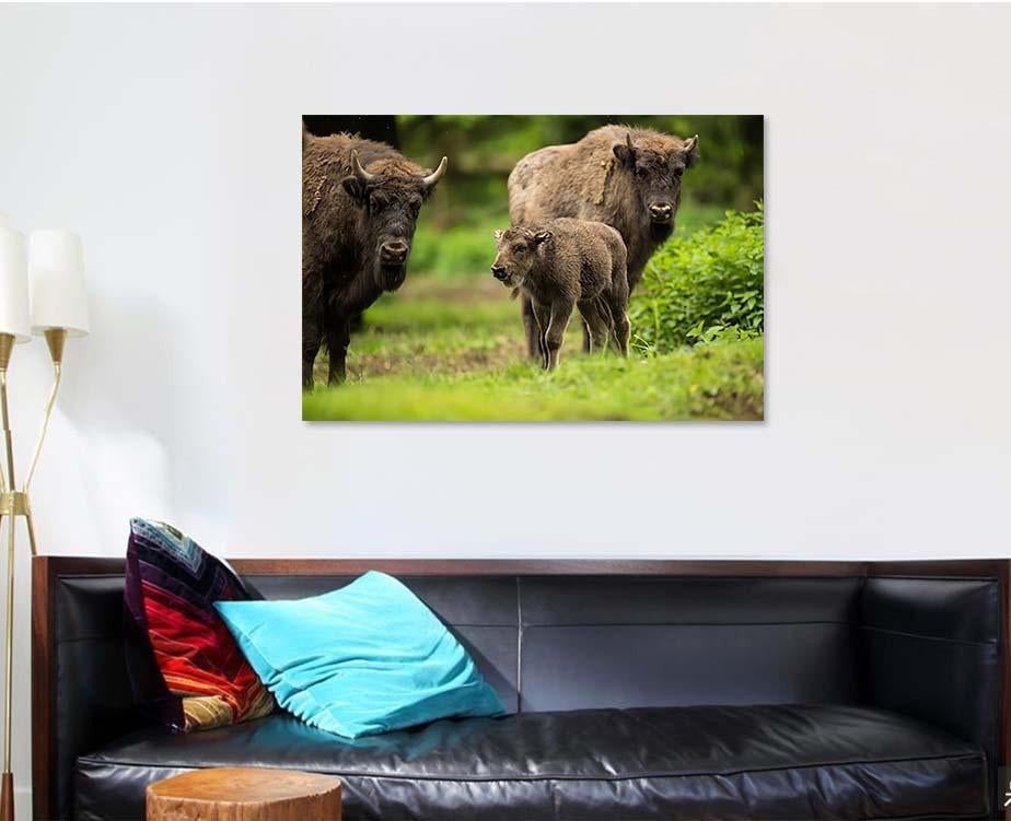 European Bison Bonasus 1 Bison Animals Luxury Multi Canvas Prints, Multi Piece Panel Canvas Gallery Art Print Print