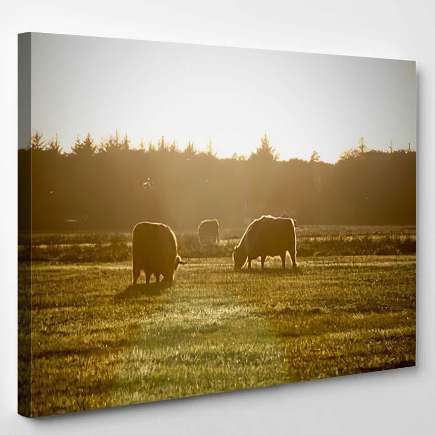 Some Bisons Grazing Grass Netherlands Bison Animals Luxury Multi Canvas Prints, Multi Piece Panel Canvas Gallery Art Print Print