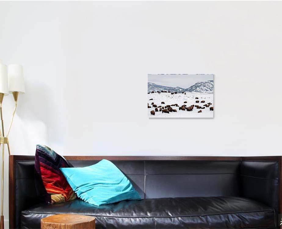 Yellowstone Bison Winter Snow 2 Bison Animals Luxury Multi Canvas Prints, Multi Piece Panel Canvas Gallery Art Print Print