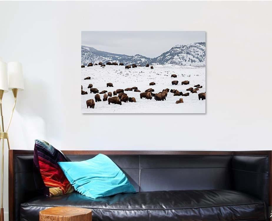 Yellowstone Bison Winter Snow 2 Bison Animals Luxury Multi Canvas Prints, Multi Piece Panel Canvas Gallery Art Print Print