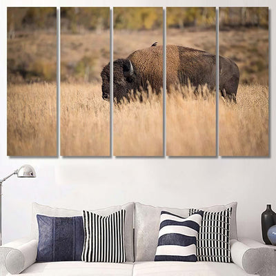 Bison American Standing Dry Grass Typical 1 Bison Animals Luxury Multi Canvas Prints, Multi Piece Panel Canvas Gallery Art Print Print