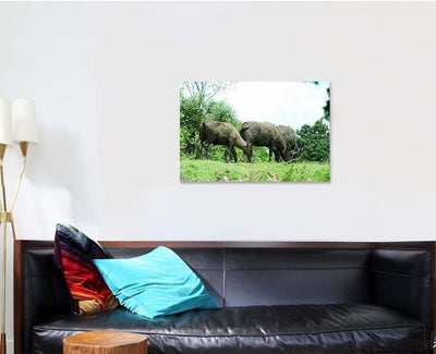 Thai Buffalo Eating Grass On Mound Bison Animals Luxury Multi Canvas Prints, Multi Piece Panel Canvas Gallery Art Print Print