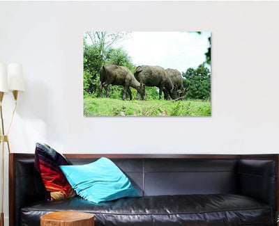 Thai Buffalo Eating Grass On Mound Bison Animals Luxury Multi Canvas Prints, Multi Piece Panel Canvas Gallery Art Print Print