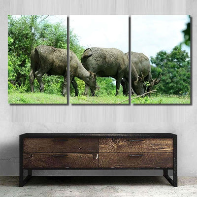 Thai Buffalo Eating Grass On Mound Bison Animals Luxury Multi Canvas Prints, Multi Piece Panel Canvas Gallery Art Print Print