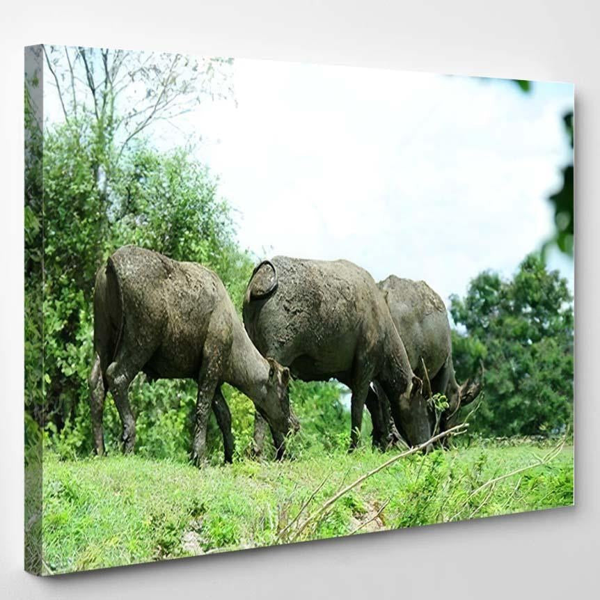 Thai Buffalo Eating Grass On Mound Bison Animals Luxury Multi Canvas Prints, Multi Piece Panel Canvas Gallery Art Print Print