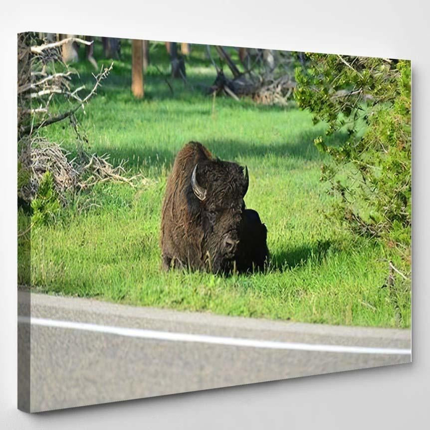 Closeup Shot Bison Bison Animals Luxury Multi Canvas Prints, Multi Piece Panel Canvas Gallery Art Print Print