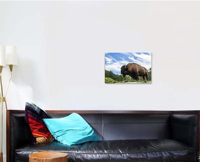 Buffalo Bison Posing Front Dramatic Sky Bison Animals Luxury Multi Canvas Prints, Multi Piece Panel Canvas Gallery Art Print Print