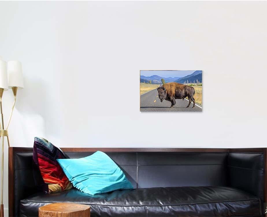 Large Male Bison Blocking Road Bison Animals Luxury Multi Canvas Prints, Multi Piece Panel Canvas Gallery Art Print Print