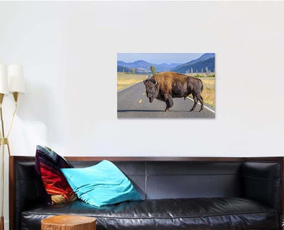 Large Male Bison Blocking Road Bison Animals Luxury Multi Canvas Prints, Multi Piece Panel Canvas Gallery Art Print Print