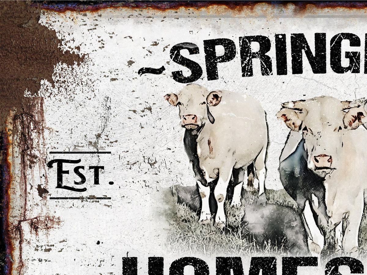Primitive Charolais Cattle Ranch Sign Canvas | Last Name Homestead Sign | Farmhouse Sign | Cattle Farm Sign | Cattle Ranch Sign | Distressed Sign