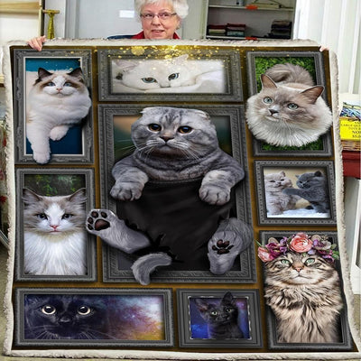 3d Huge Cat Custom Design Fleece Blanket Gift For Cat Lovers