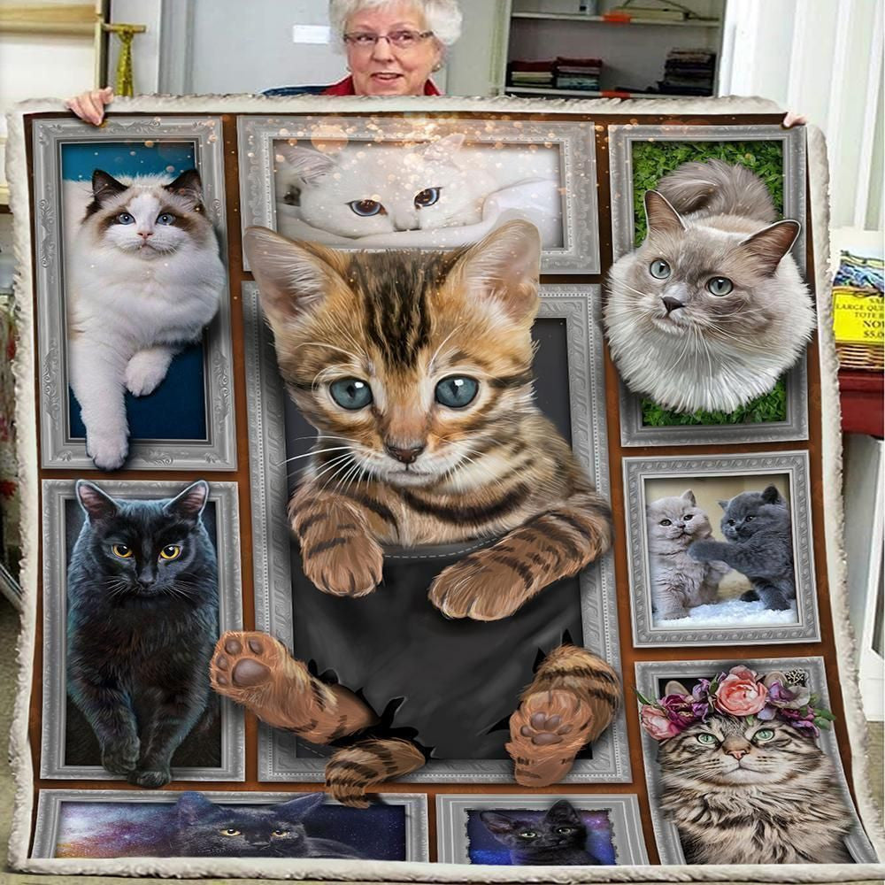 3d Huge Cat Blanket Trending Gift For Cat Lovers