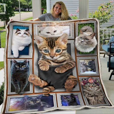 3d Huge Cat Blanket Trending Gift For Cat Lovers