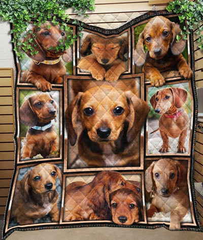 Cute Dachshund Gift For Dog Lovers Quilt Blanket