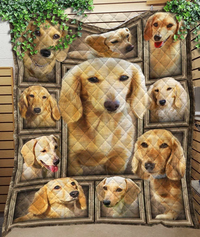 Dachshund Cream Gift For Dog Lovers Quilt Blanket